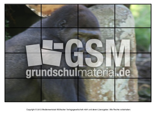Puzzle-Gorilla-1.pdf